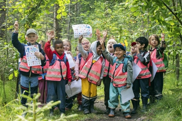 Rahasia Sekolah Hutan di Skandinavia: Kelas Tanpa Dinding dan Atap